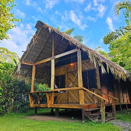 Wildlife Lodge Cahuita Exteriér fotografie