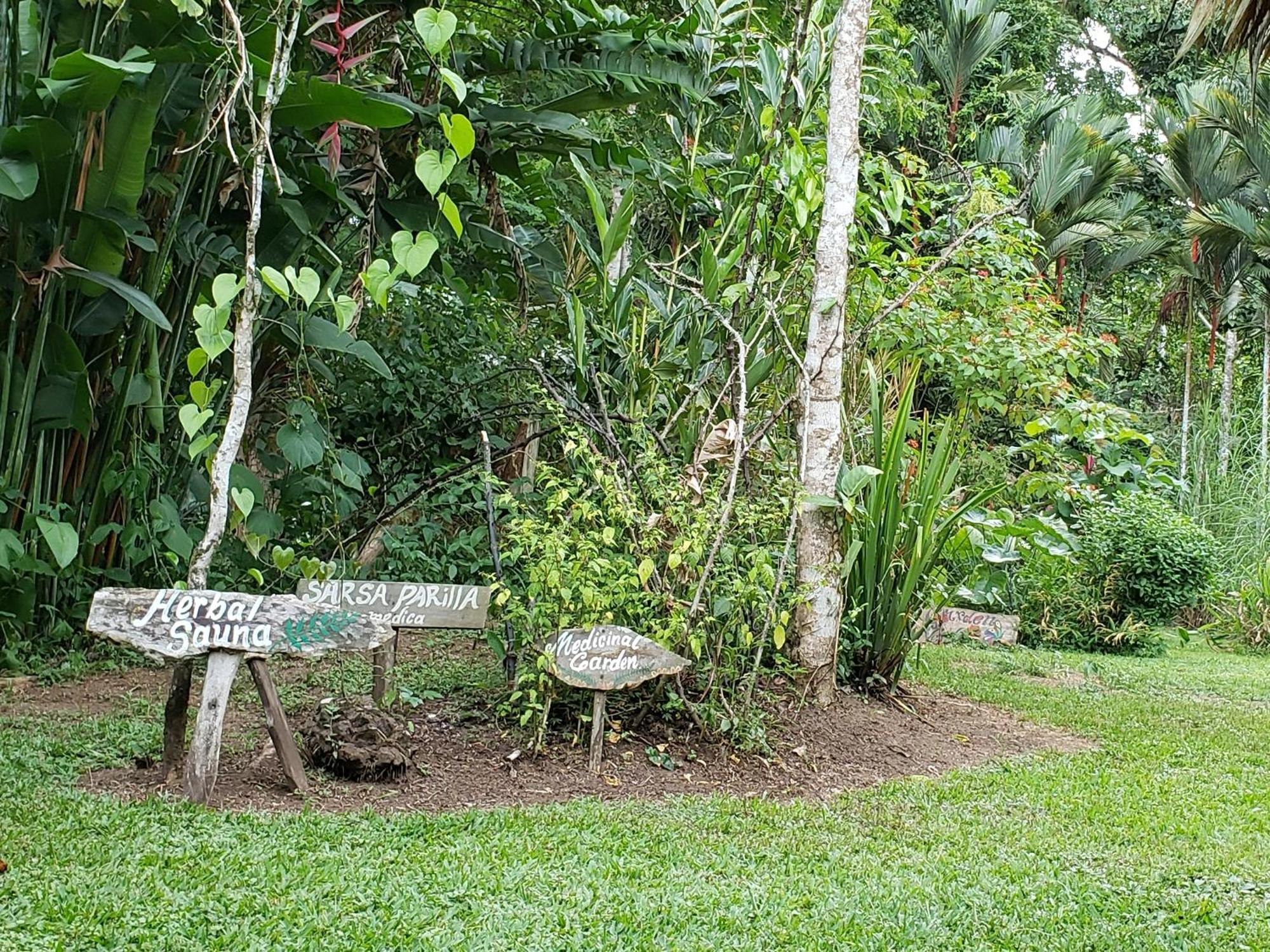 Wildlife Lodge Cahuita Exteriér fotografie