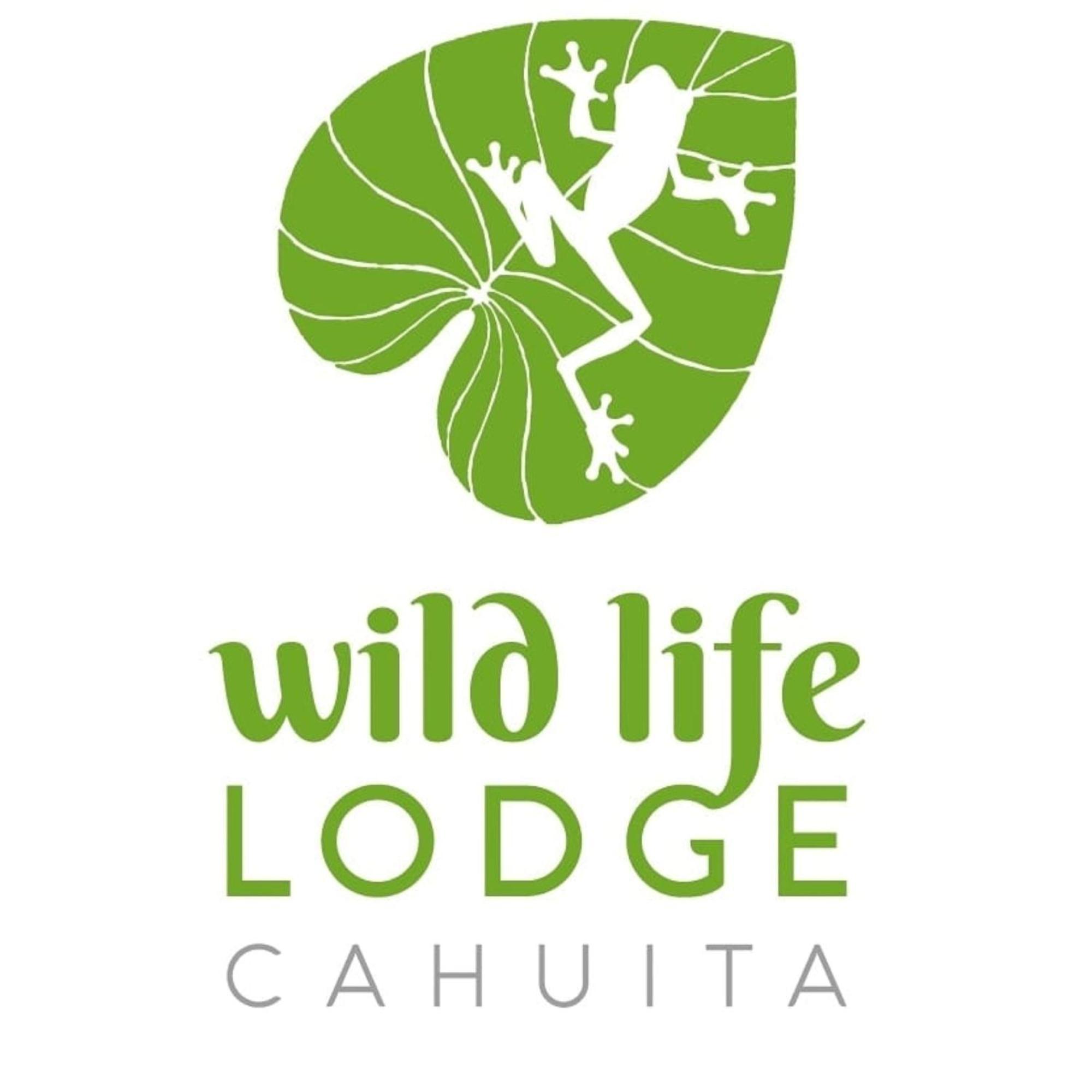 Wildlife Lodge Cahuita Exteriér fotografie