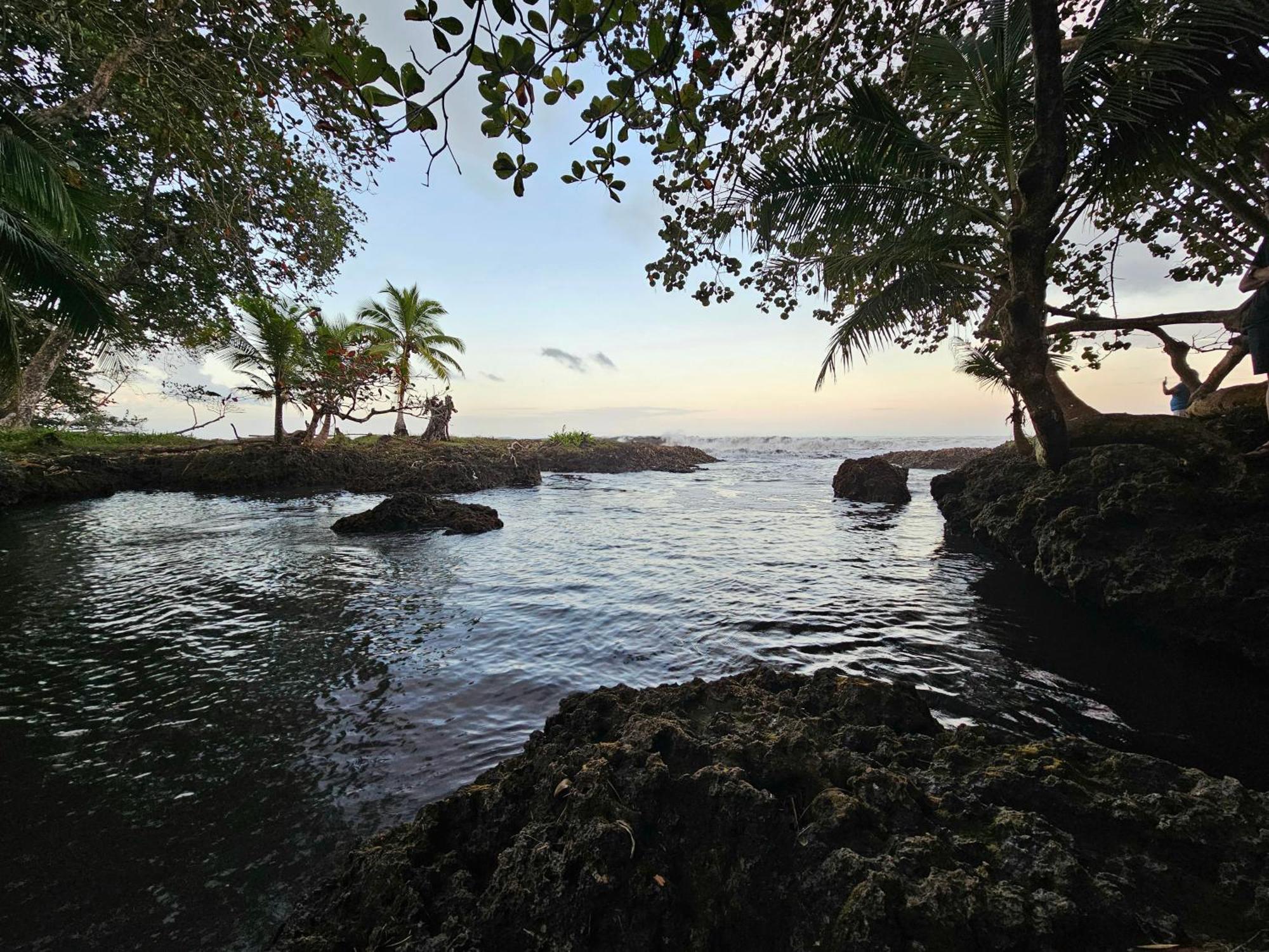Wildlife Lodge Cahuita Exteriér fotografie