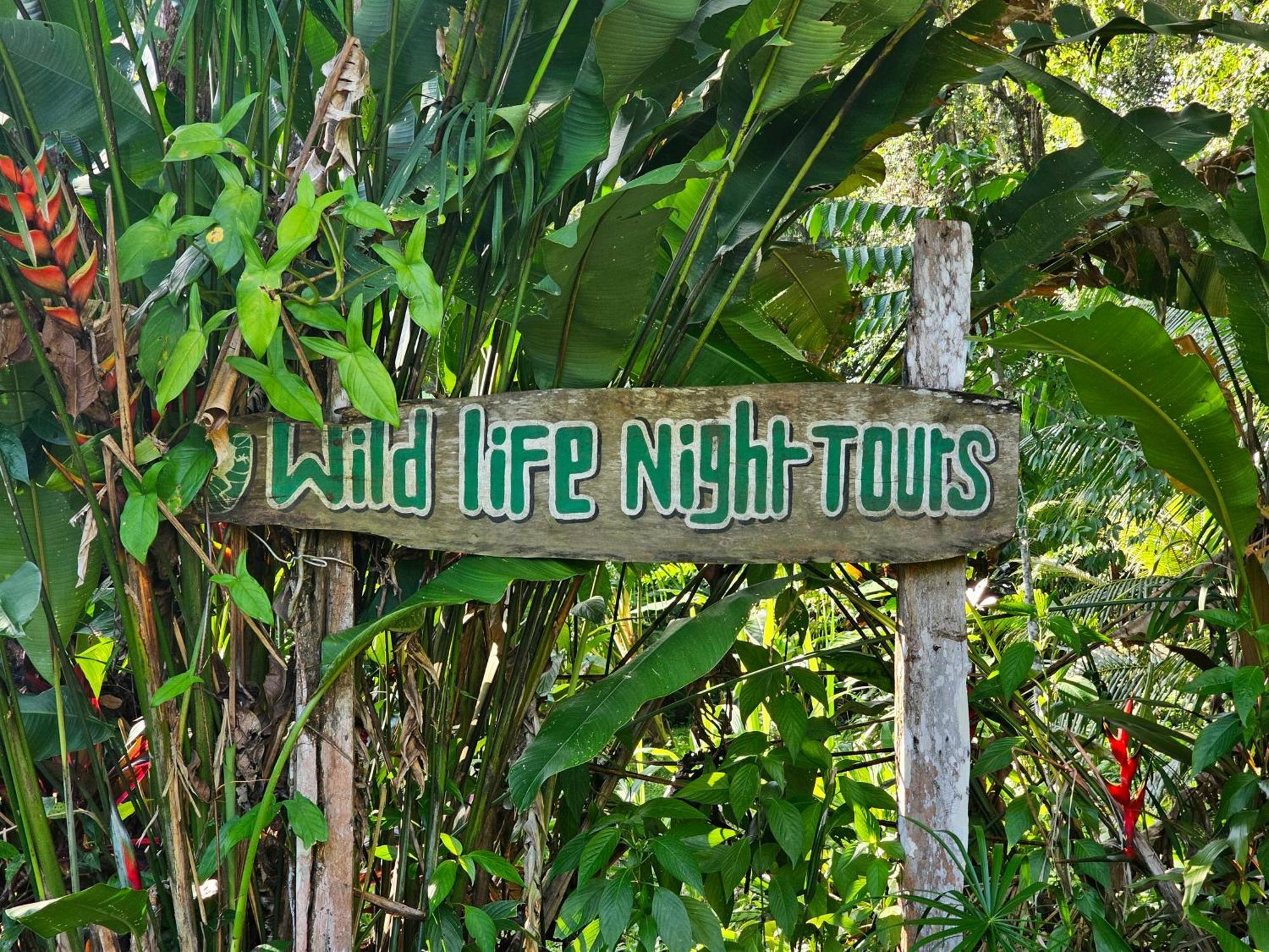 Wildlife Lodge Cahuita Exteriér fotografie