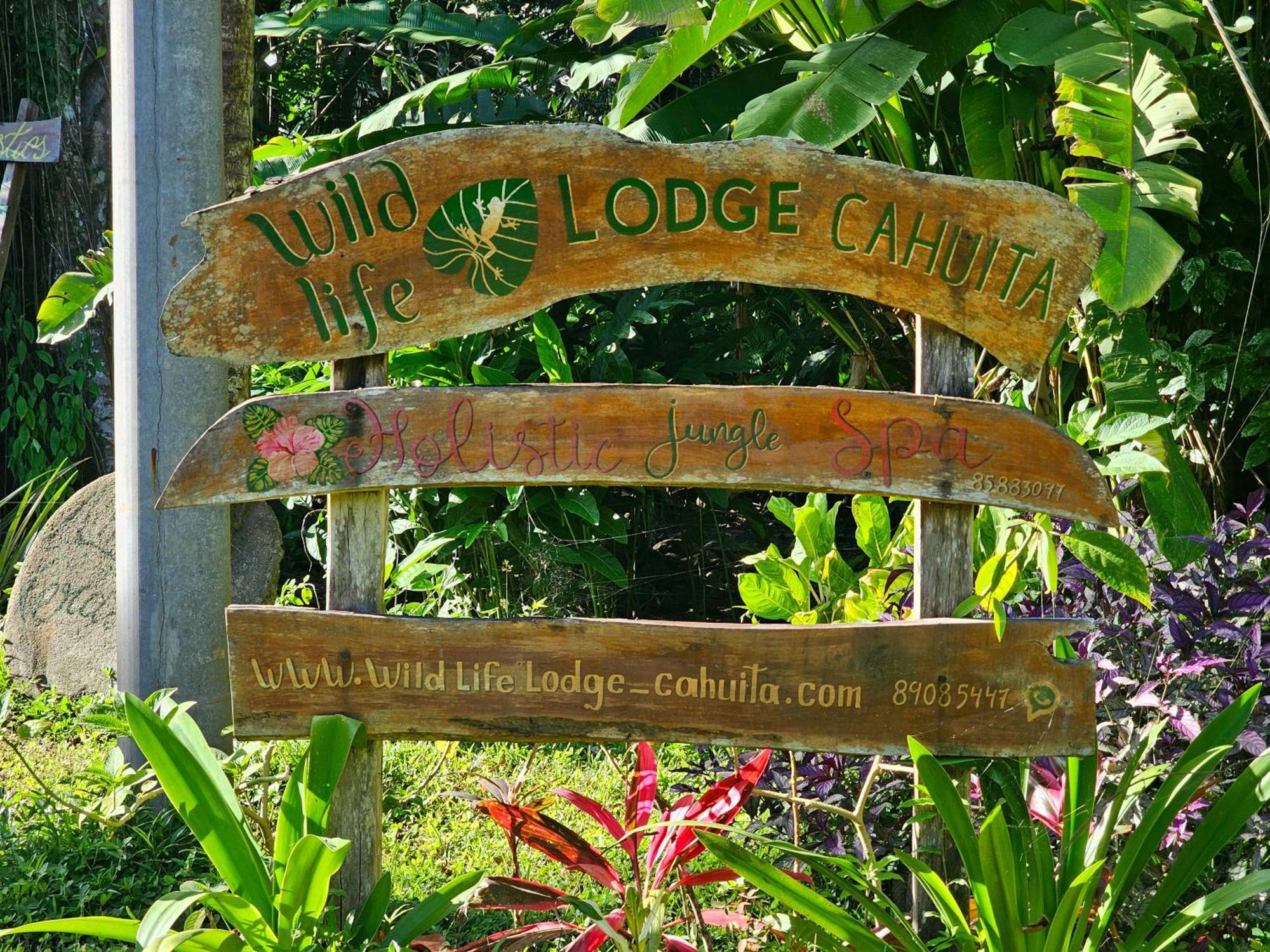 Wildlife Lodge Cahuita Exteriér fotografie