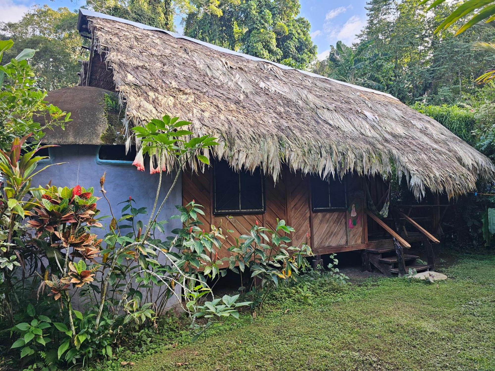 Wildlife Lodge Cahuita Exteriér fotografie