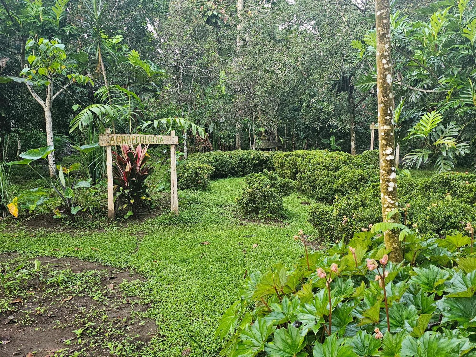 Wildlife Lodge Cahuita Exteriér fotografie