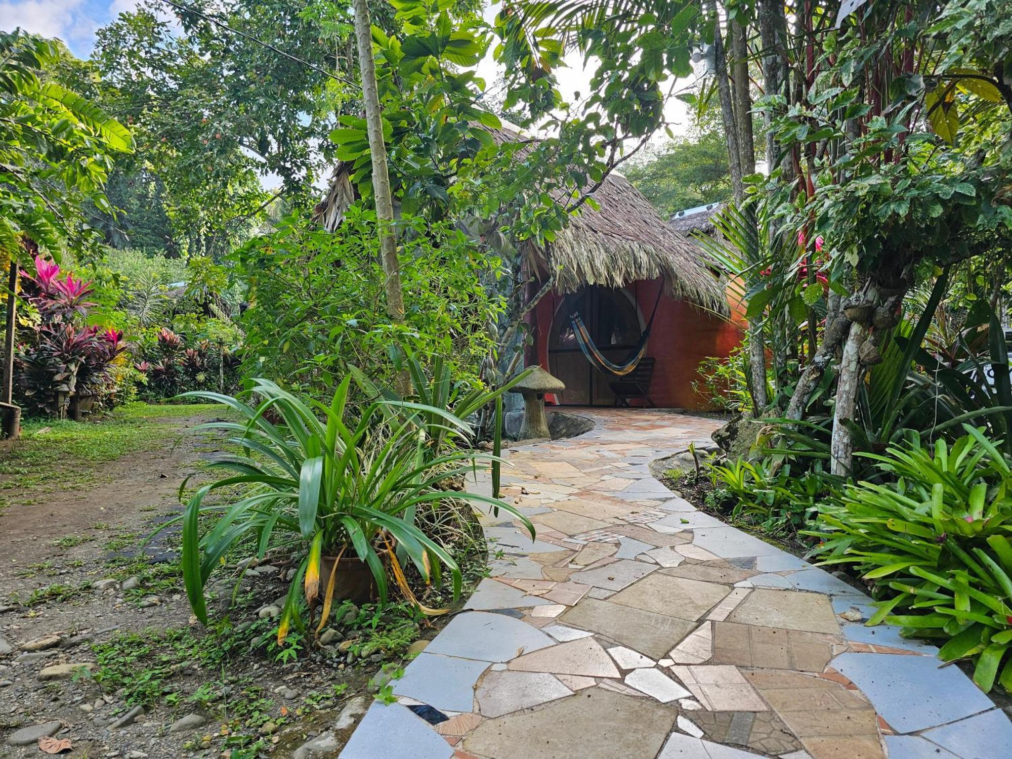 Wildlife Lodge Cahuita Exteriér fotografie