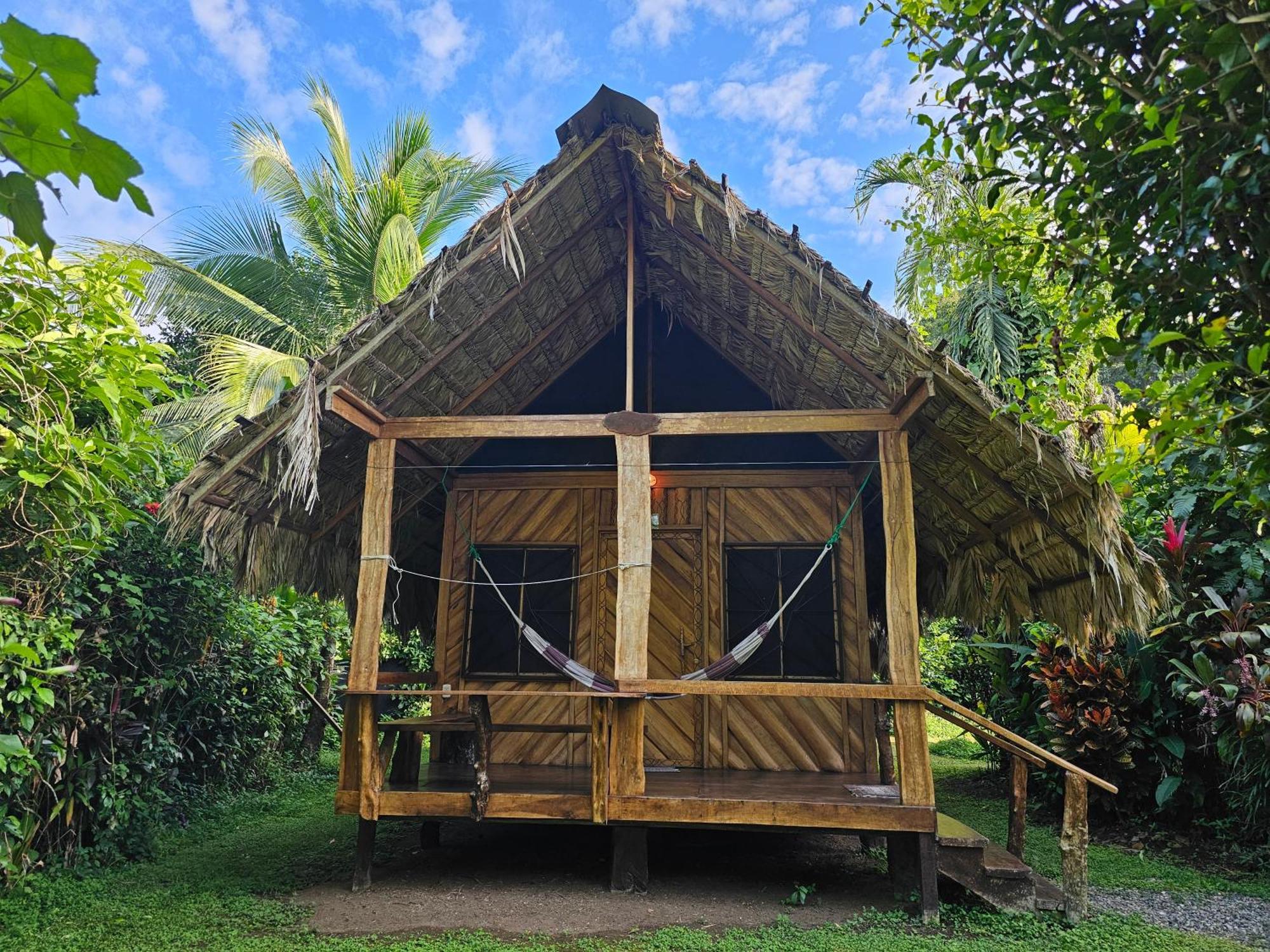Wildlife Lodge Cahuita Exteriér fotografie