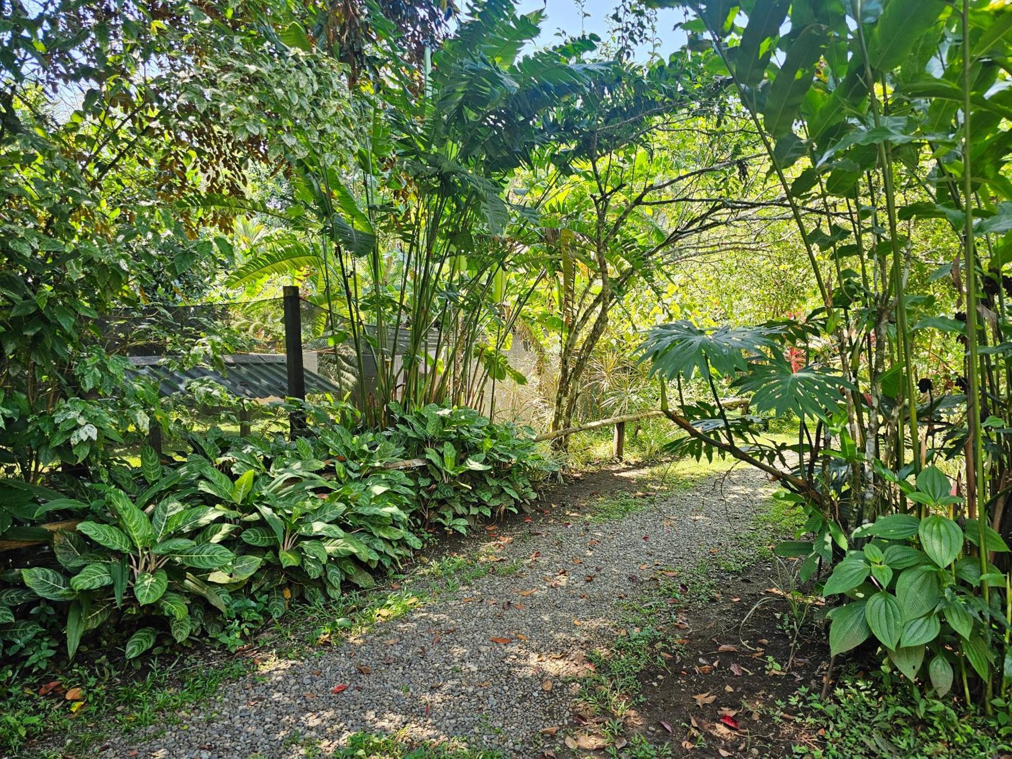 Wildlife Lodge Cahuita Exteriér fotografie