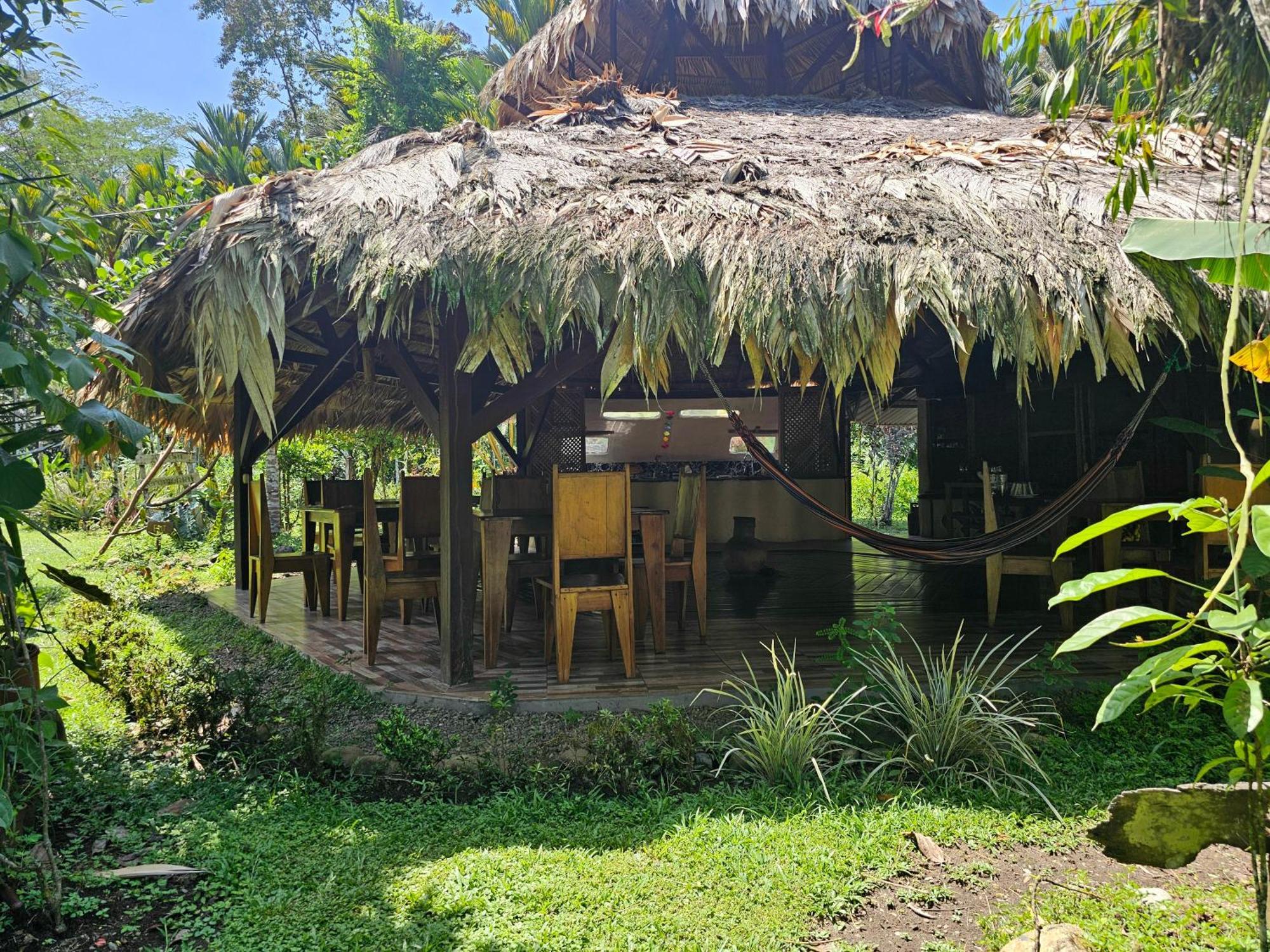 Wildlife Lodge Cahuita Exteriér fotografie